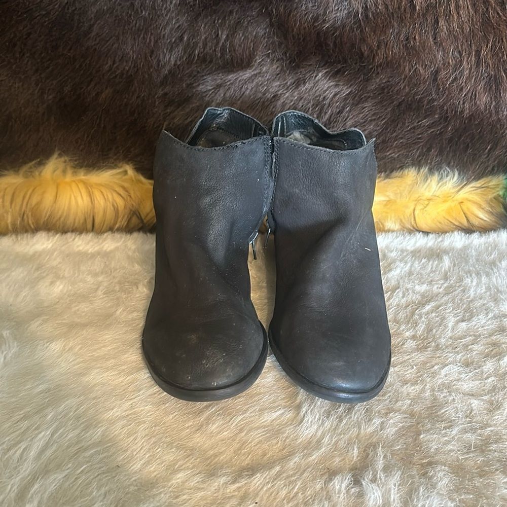 Frye & Co booties 8.5 (1000A)